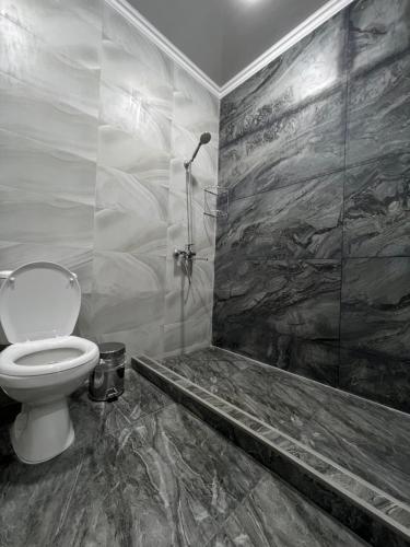 y baño con aseo y ducha a ras de suelo. en Art Tashkent Hotel, en Tashkent