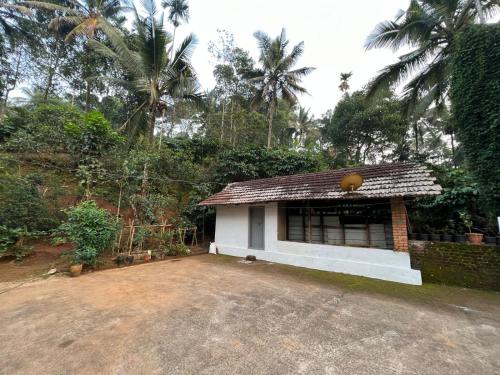 ein kleines Haus in einem Hof mit Palmen in der Unterkunft ZenHost in Kalpatta