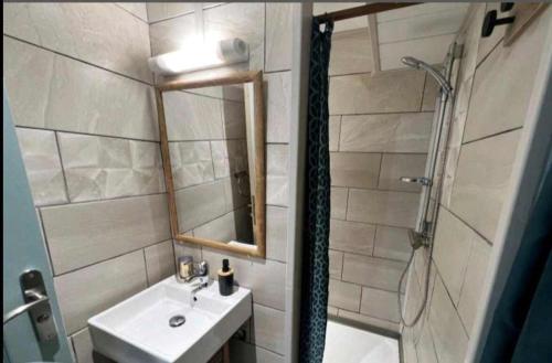 a bathroom with a sink and a shower with a mirror at Le Ruisseau in Saint-Paul