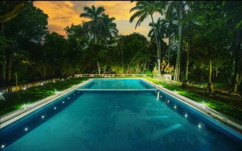 a large swimming pool in a park with palm trees at Hotel NUDISTA - Luz de Luna NUDE in Tehuixtla