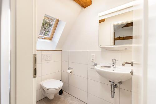 a bathroom with a toilet and a sink at Ferienwohnungen Metzgerpost in Altensteig