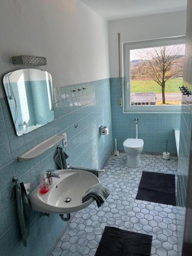 a bathroom with a sink and a toilet and a window at Geräumiges Monteurzimmer für 2 Personen in Lauda-Königshofen