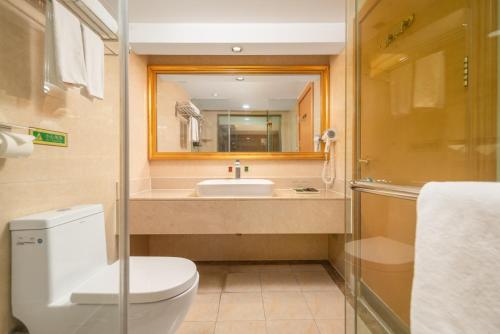 a bathroom with a toilet and a sink and a mirror at Vienna International Hotel Wuhan Jiefang Avenue in Wuhan