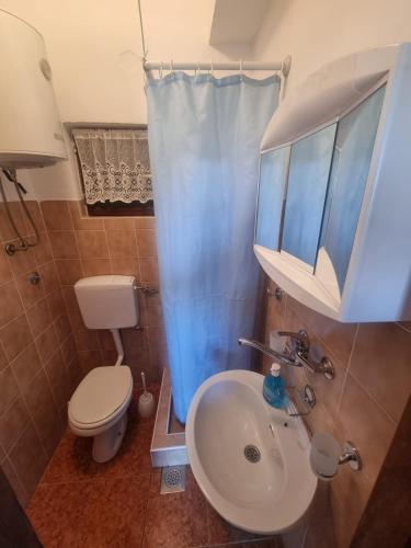 a bathroom with a sink and a toilet and a shower at Apartment Tino in Sukošan