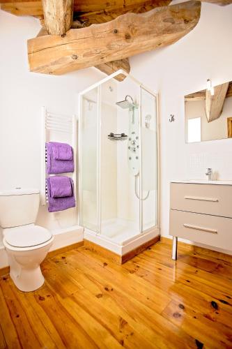 une salle de bain avec douche et toilettes dans l'établissement La Maison Des Vignes - Gite Lavande - Luxury Gite with Air Conditioning, à Tourouzelle