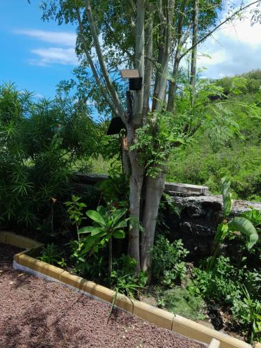 Zahrada ubytování Le Refuge