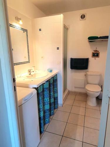 une salle de bain avec un lavabo et des toilettes dans l'établissement Gîte Le Bel-Estar, à Bélesta