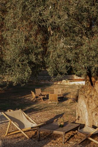 Φωτογραφία από το άλμπουμ του IUTA Farm σε Noto