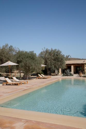 Πισίνα στο ή κοντά στο IUTA Farm