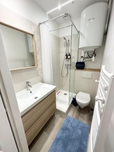 une salle de bain avec un lavabo et des toilettes dans l'établissement Magnifique T2 35m2 Prox Gare, à Lyon