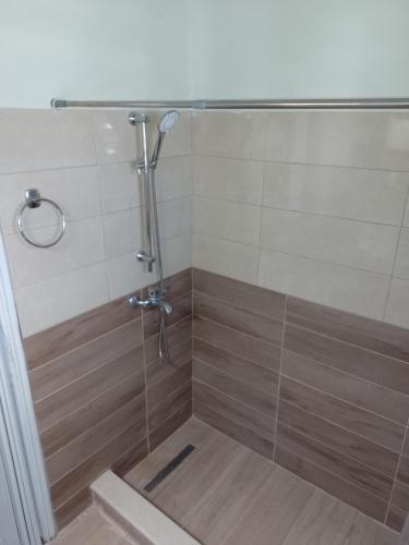 a bathroom with a shower with a glass door at Pitsinis Apartments I in Roda