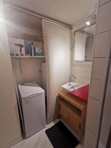 La petite salle de bains est pourvue d'un lavabo et d'un lave-linge. dans l'établissement Joli T2 de 37M2 Style Loft Prox Gare Métro, à Lyon