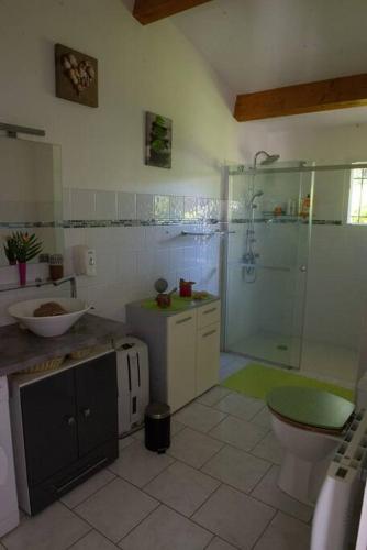 une salle de bain avec une douche, des toilettes et un lavabo dans l'établissement Villa SYMPHONY A PIANA CORSE DU SUD, à Piana