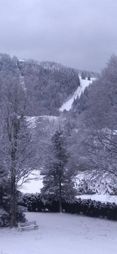 Photo de la galerie de l'établissement Studio Le Lacuzon avec piscine et tennis extérieurs, aux Rousses