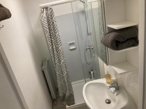 La salle de bains est pourvue d'une douche et d'un lavabo. dans l'établissement Appartement cosy, à Saint-Sébastien-sur-Loire