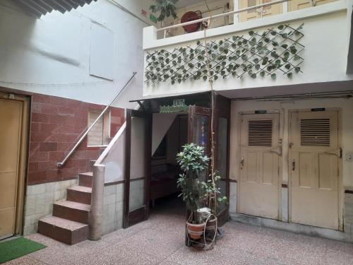 a building with stairs and potted plants on it at NEW KHUSHDIL HOTEL in New Delhi