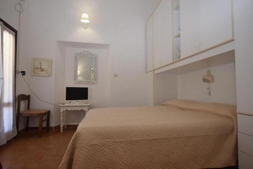 1 dormitorio con 1 cama y escritorio con TV en Appartamenti Seccheto en Seccheto