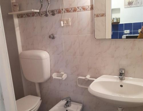 a bathroom with a toilet and a sink and a mirror at Appartamenti Seccheto in Seccheto