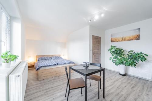 1 dormitorio con 1 cama, 1 mesa y 1 cama en Apartmány TERA, en Miletín