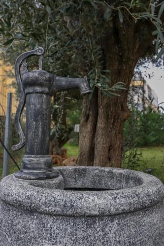 a statue of a water fountain in front of a tree at SaltHouse #4 in Kalabaka