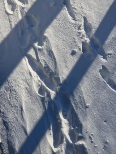 a shadow on the snow with footprints in it at Ferienwohnung "Auszeit" in Tabarz