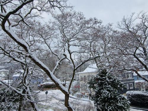 a snow covered yard with a christmas tree and houses at Ferienwohnung "Auszeit" in Tabarz