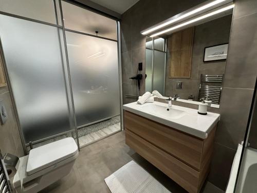 a bathroom with a toilet and a sink and a shower at K40 Residence, with pool on the top! in Budapest