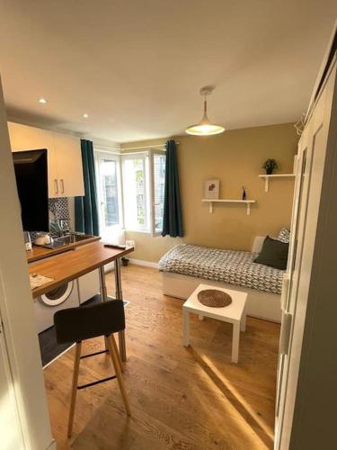 um quarto com uma cama e uma secretária com uma secretária em Cosy studio proche Paris em Villeneuve-Saint-Georges