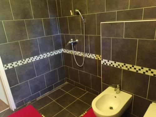 łazienka z prysznicem i toaletą w obiekcie Obmorski oddih w mieście Dekani