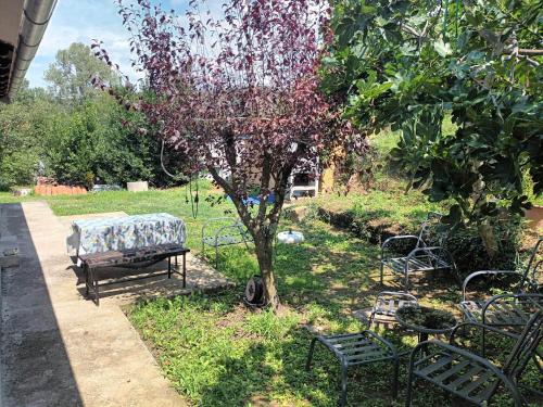 park z ławkami i drzewem z fioletowymi kwiatami w obiekcie Obmorski oddih w mieście Dekani