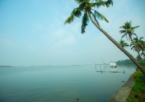 a palm tree and a boat on a body of water at JC Den Private Villas Kochi by VOYE HOMES in Cochin