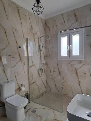 a bathroom with a shower and a toilet and a sink at ENDLESS VIEWS PANTELI LEROS in Panteli