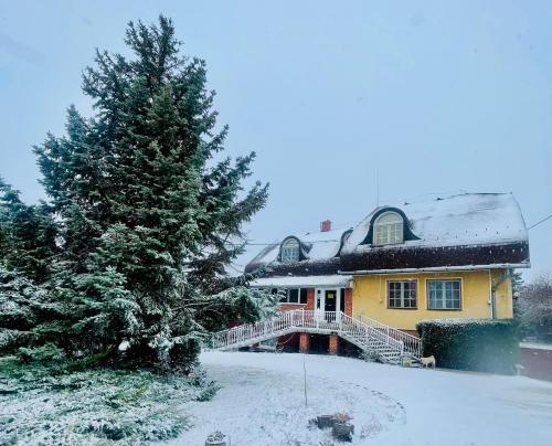 a yellow house with a tree in the snow at Katalin Panzió in Budapest