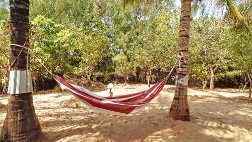 a red hammock hanging between two palm trees at Très agréable maison 2 chambres avec jardin in Abene