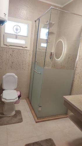 a bathroom with a shower and a toilet at GEM view BOUTIQUE in Cairo