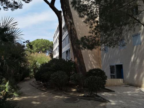 Studio calme à Giens , 2 pas du port et des plages