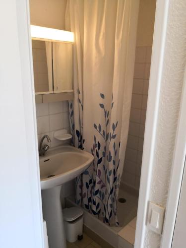 une salle de bain avec un lavabo et un rideau de douche dans l'établissement Studio calme à Giens , 2 pas du port et des plages, à Hyères