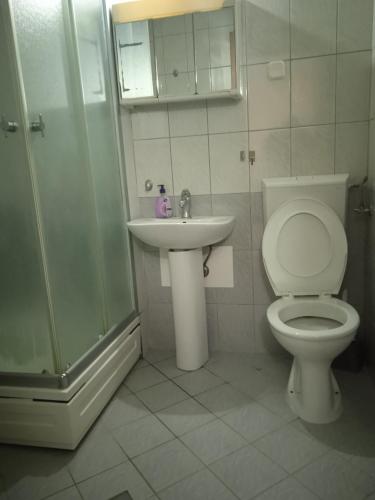 a bathroom with a toilet and a sink and a shower at Nikolic Apartments - Ohrid City Centre in Ohrid