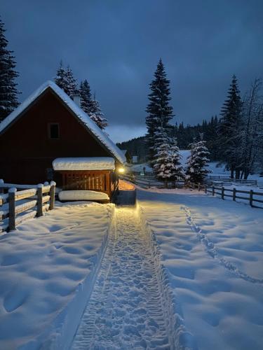 a snow covered yard next to a cabin with a fence at Cosy Chalet on Pokljuka - Brunarica Tinkara in Zgornje Gorje