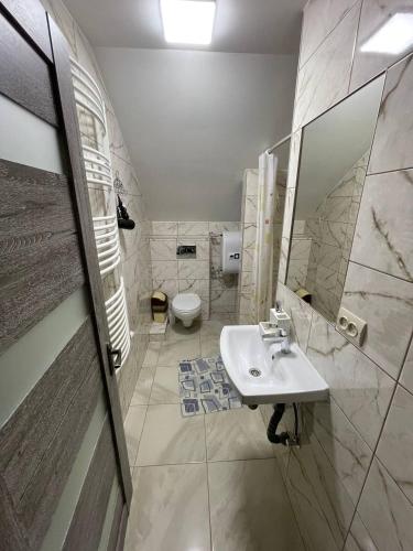 PilipetsにあるЛимонний дімの洗面台とトイレ付きのバスルーム