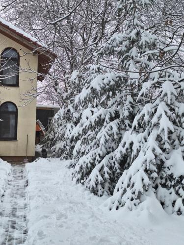TINY CABIN ในช่วงฤดูหนาว