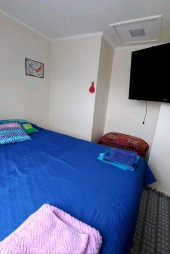 a bedroom with a blue bed and a flat screen tv at Casa con buena ubicación estacionamiento gratuito in Castro