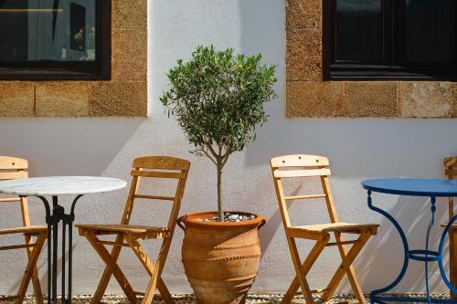 einen Tisch, zwei Stühle und einen Topfbaum in der Unterkunft Villa Oliva in Sanlúcar la Mayor
