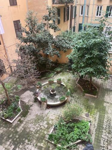 Cozy apartment near the Colosseum