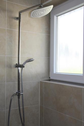 a shower in a bathroom with a window at Feriendomizile Menholz in Balingen