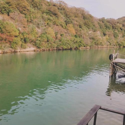 a boat docked on a river next to a forest at Ağva Güneş Otel in Sile