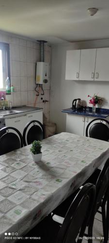 バルパライソにあるMarAzulのキッチン(鉢植えのテーブル付)