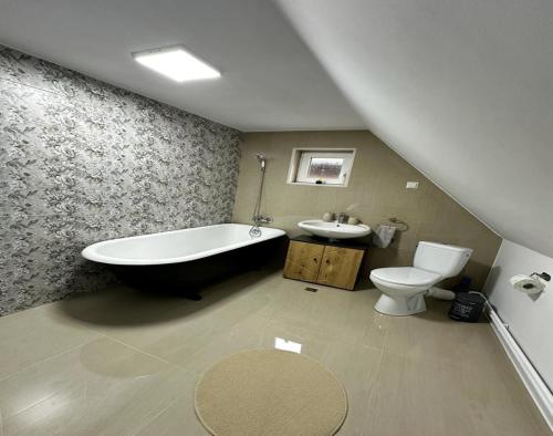 a bathroom with a tub and a toilet and a sink at Wood House Valiug in Văliug