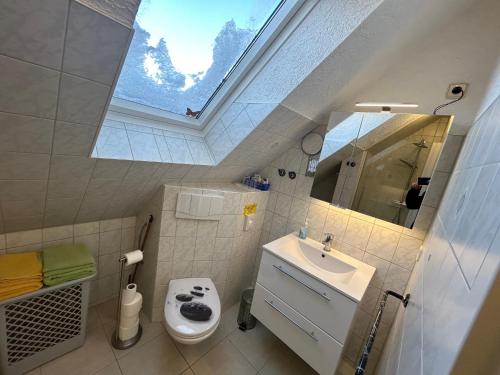 a bathroom with a toilet and a sink with a skylight at Ferienhaus Berndt im Spreewald in Lübbenau