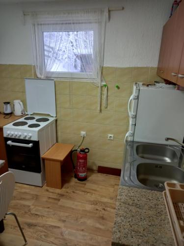 Kuchyň nebo kuchyňský kout v ubytování Planinska kuca Steki Bukulja